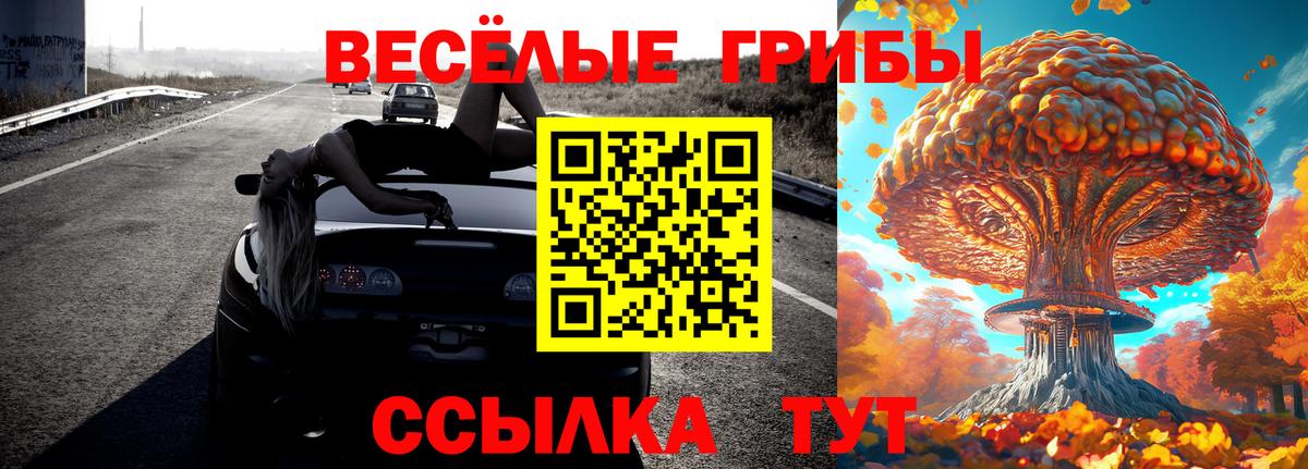 Королёв  закладка  Вход с VPN  Галлюциногенные грибы Magic Shrooms  Псилоцибиновые грибы MAGIC MUSHROOMS 